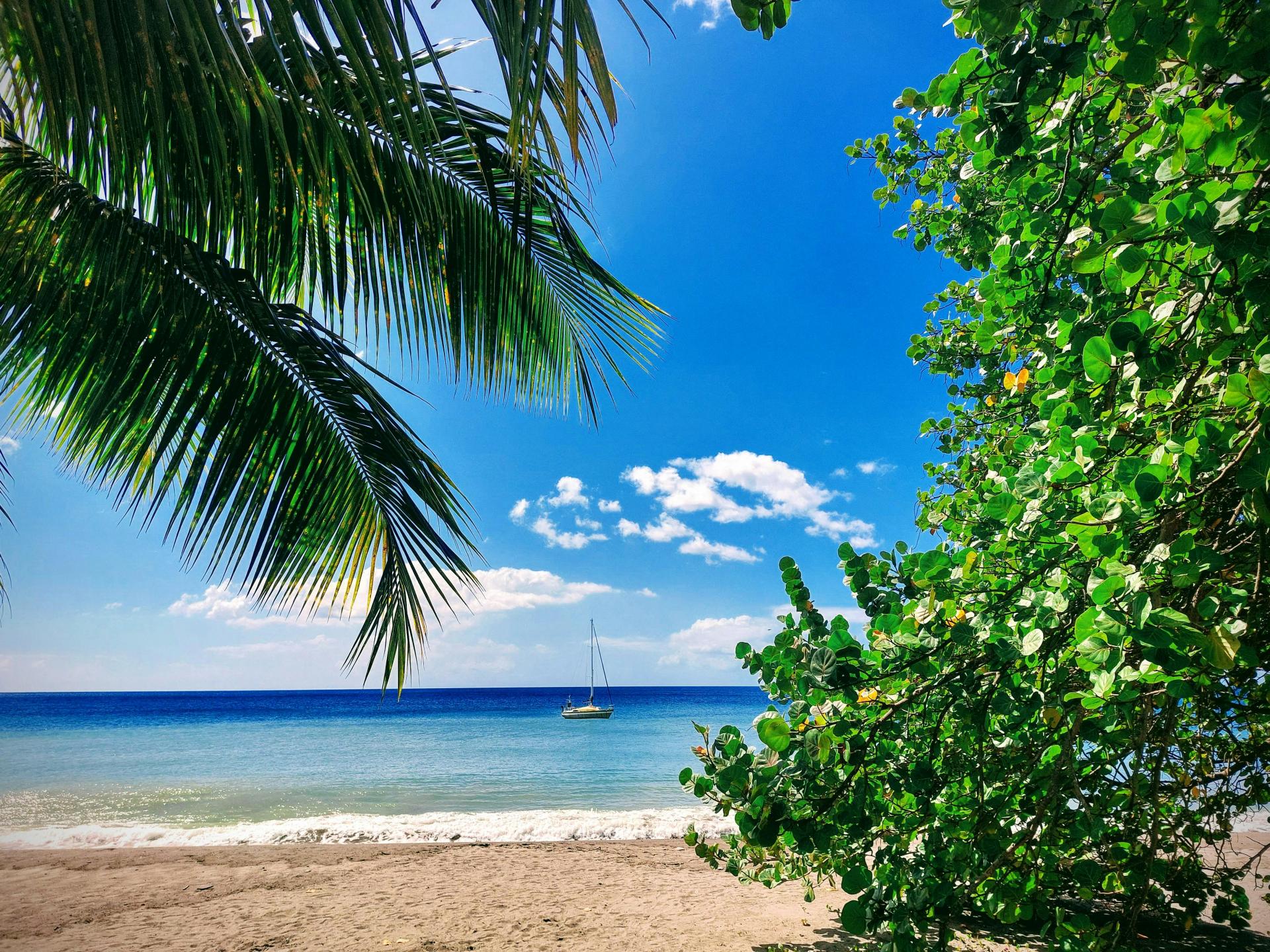 La Martinique : une destination d’exception entre nature, culture et art de vivre