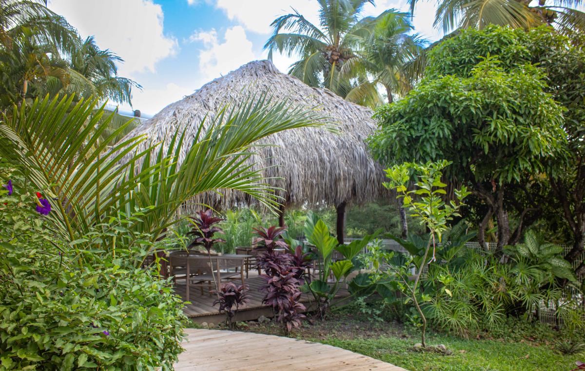 Iloma - Jardin
