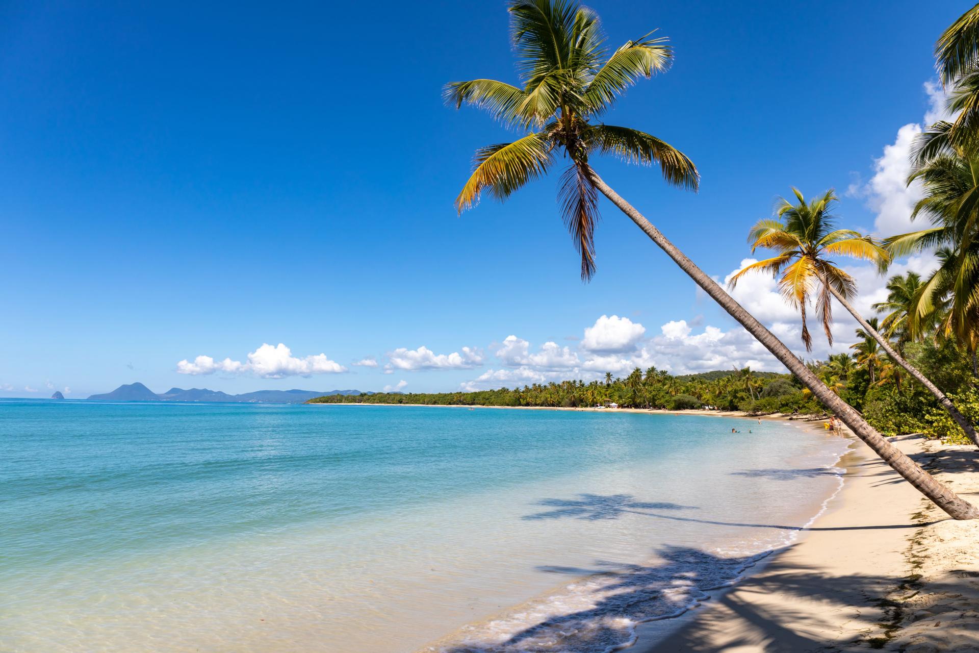 Iloma - Martinique